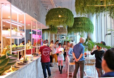 Nourishing Body and Soul: The Plant Magic Cafe's Commitment to Wellbeing in Denver